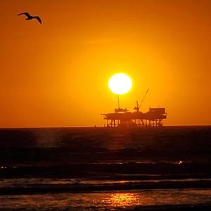 人妻丰满熟妇av滝川恵理
