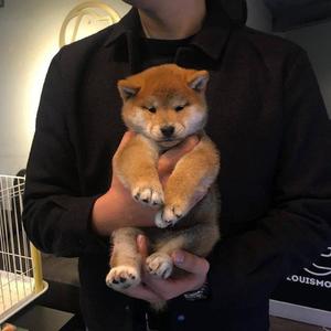 人妻丰满熟妇av滝川恵理
